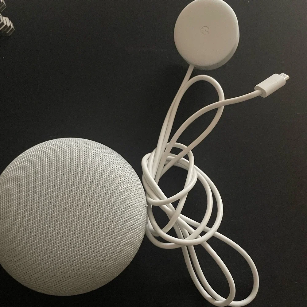 Google Home Mini Gen 1